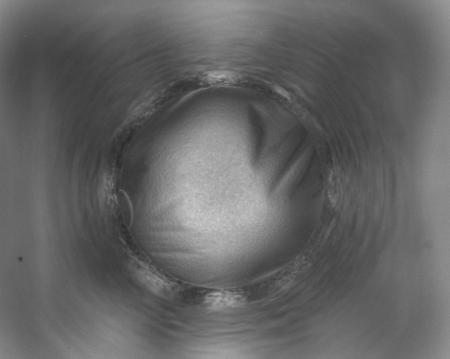 X0000053080714200507251526