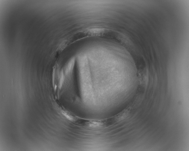 X0000053080718200507251526