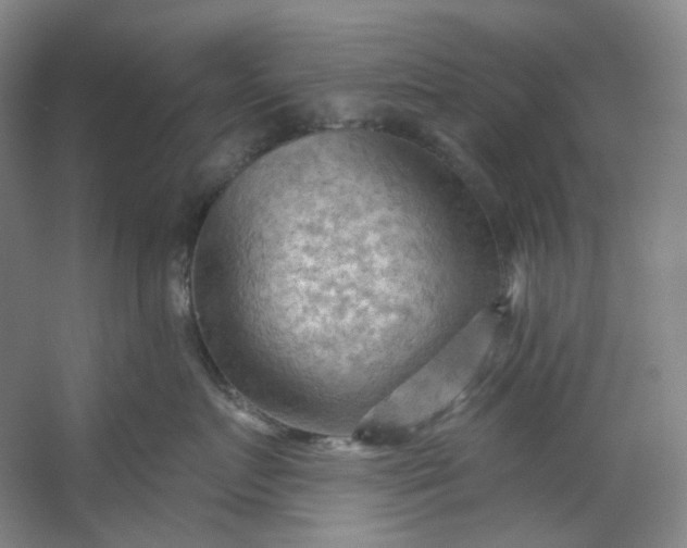 X0000053080719200507251526