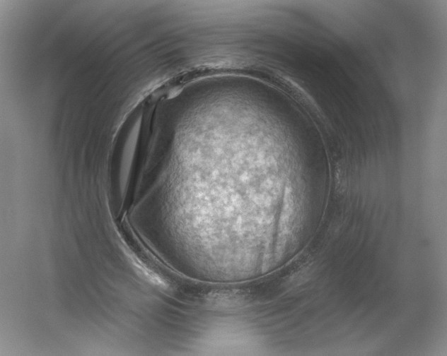 X0000053080725200507251525