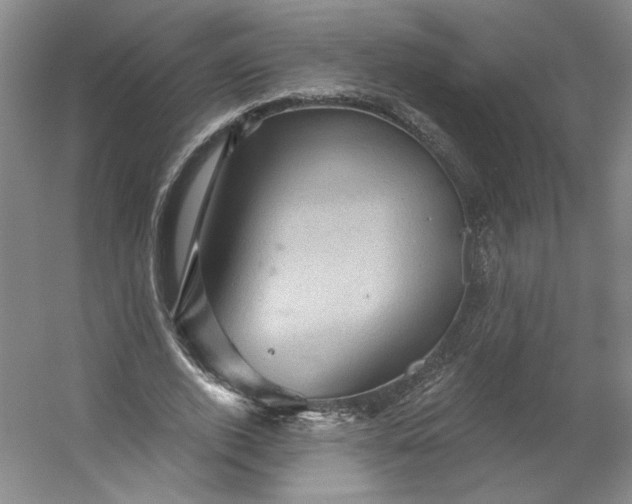 X0000053080728200507251525
