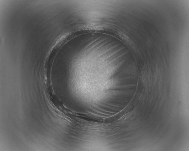 X0000053080731200507251525
