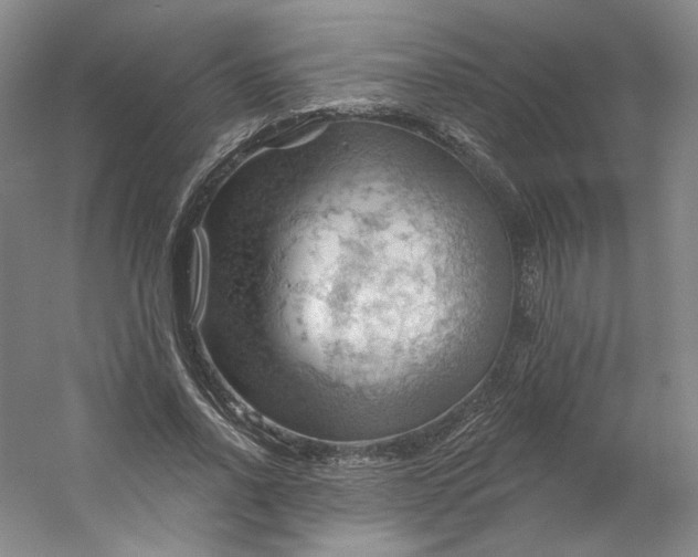 X0000053080734200507251525