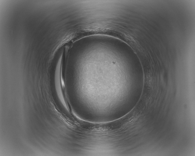 X0000053080735200507251525