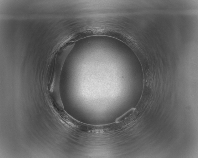 X0000053080740200507251525