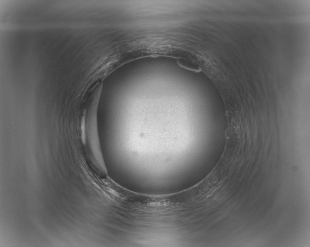 X0000053080744200507251525