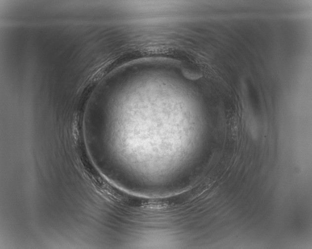 X0000053080746200507251525