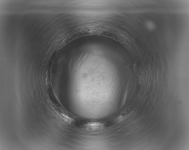 X0000053080748200507251525