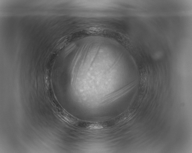 X0000053080749200507251525
