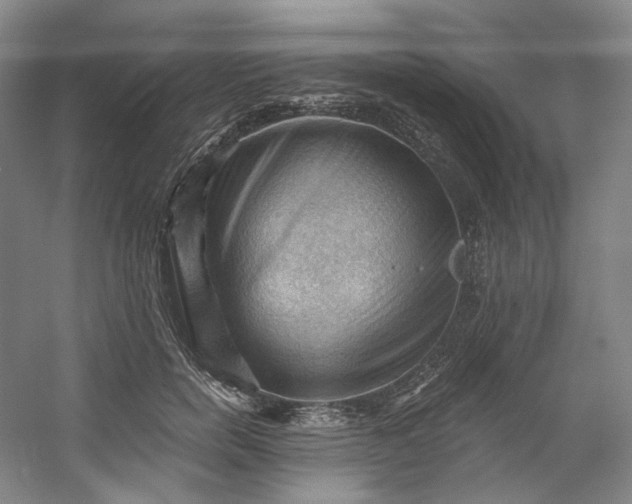 X0000053080750200507251525