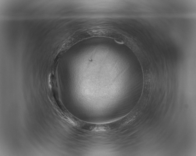 X0000053080751200507251525