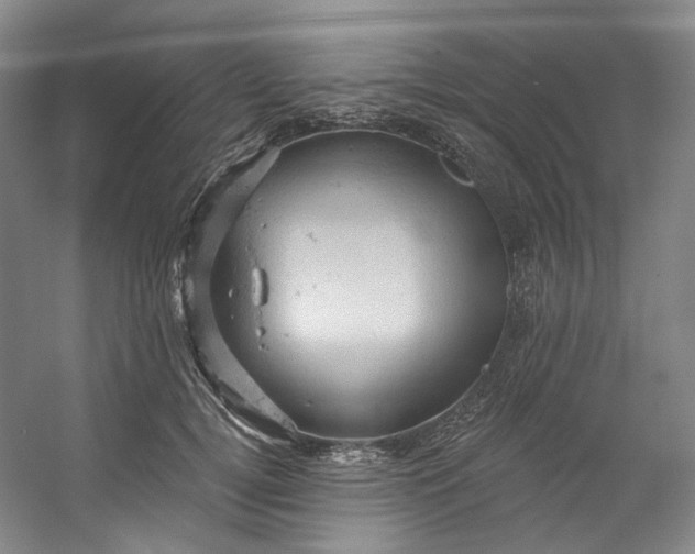 X0000053080752200507251525