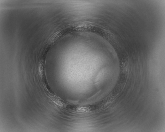 X0000053080753200507251525