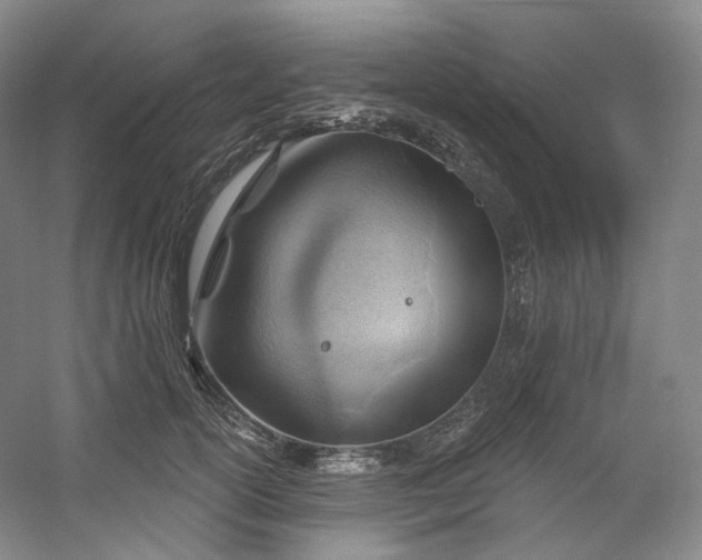 X0000053080754200507251525