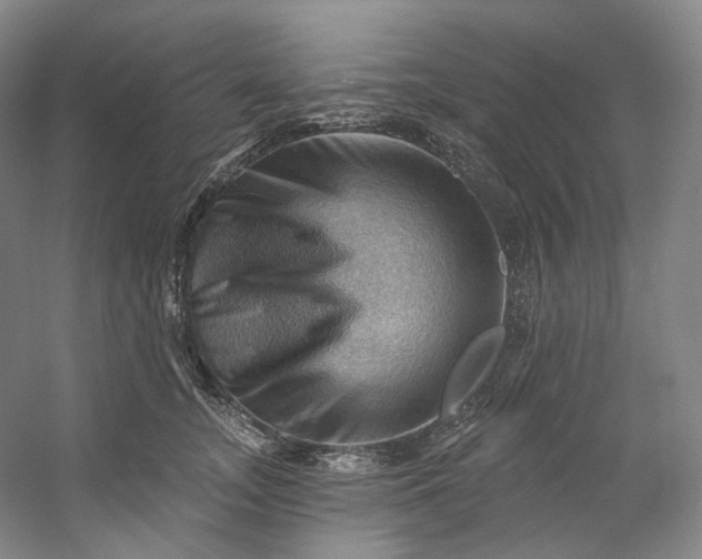 X0000053080755200507251525