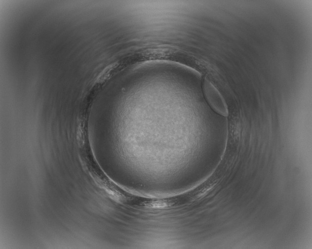 X0000053080759200507251525