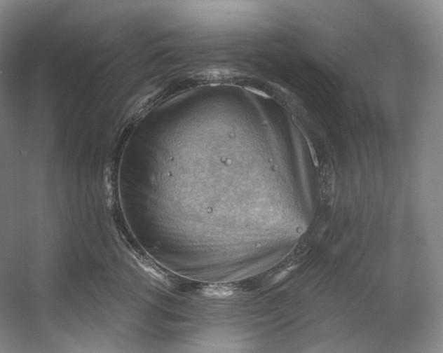 X0000053080762200507251525