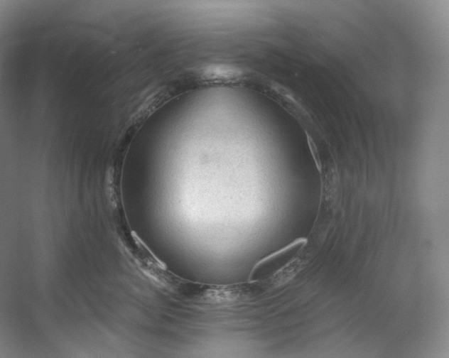 X0000053080764200507251526