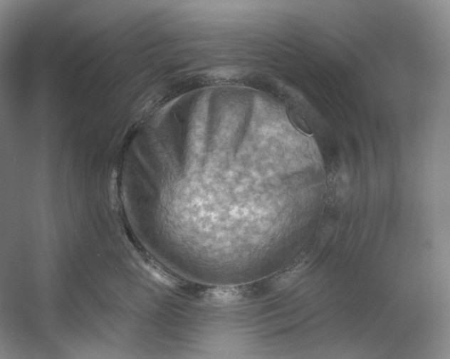 X0000053080765200507251526