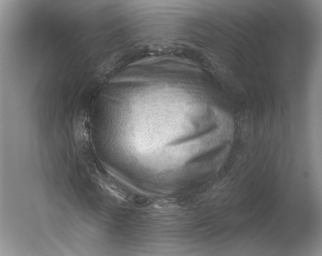 X0000053080770200507251525