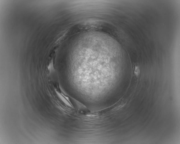 X0000053080771200507251525