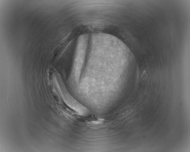 X0000053080772200507251525