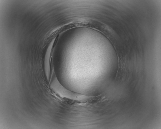 X0000053080773200507251525