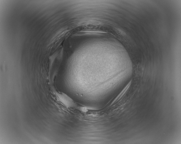 X0000053080774200507251525