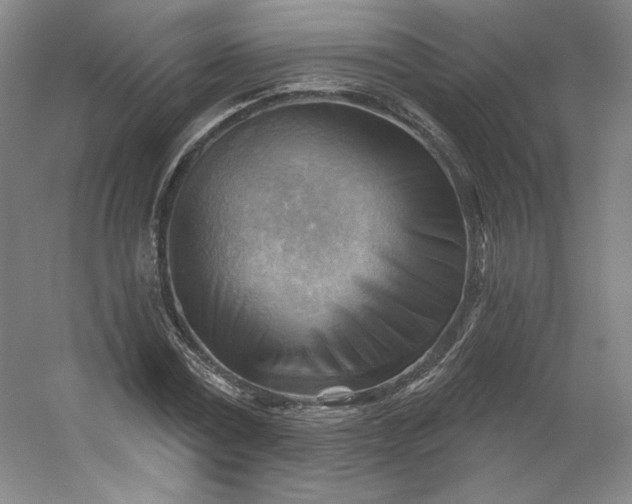 X0000053080779200507251525