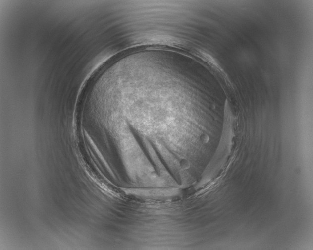 X0000053080780200507251525