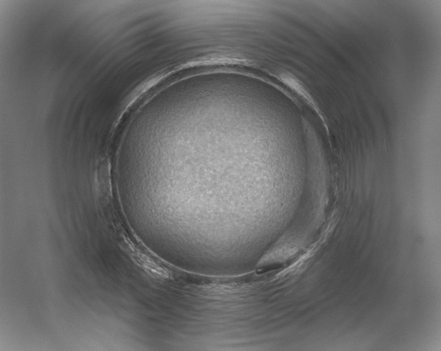 X0000053080781200507251525