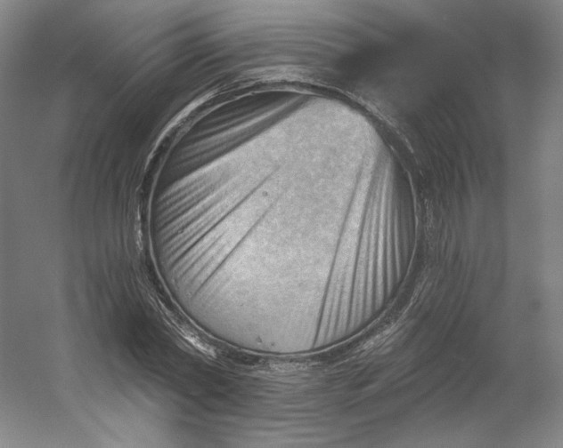 X0000053080782200507251525