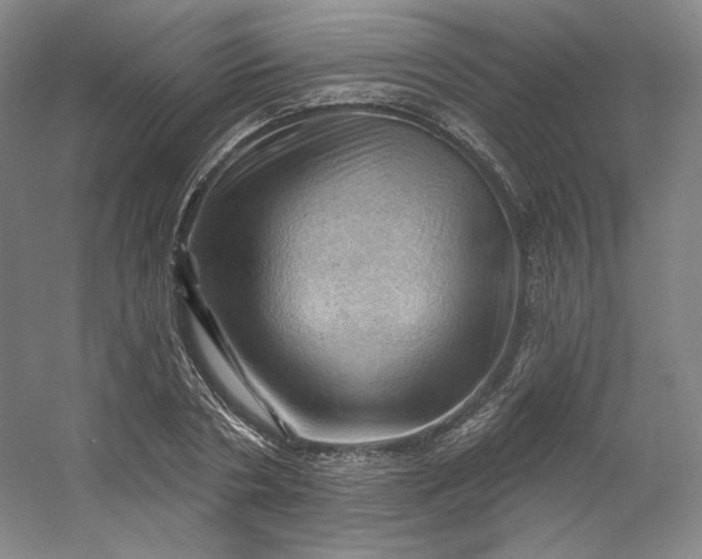 X0000053080786200507251524