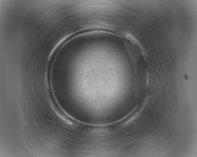 X0000053080788200507251524
