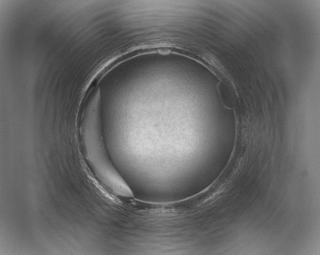 X0000053080789200507251524