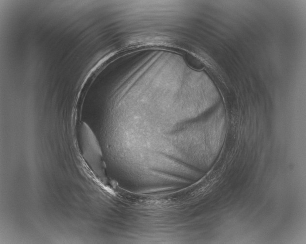 X0000053080790200507251524