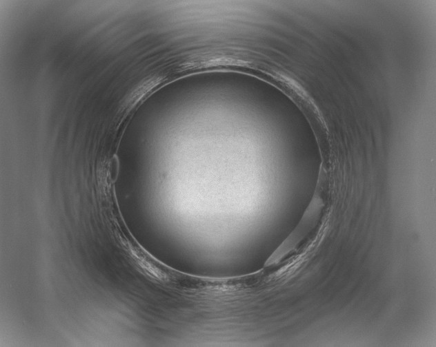 X0000053080793200507251524