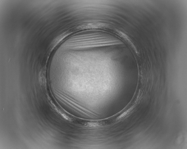 X0000053080794200507251524