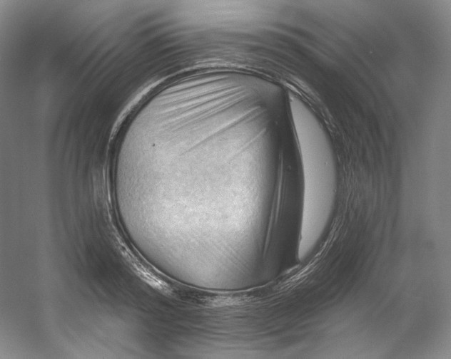 X0000053080796200507251524