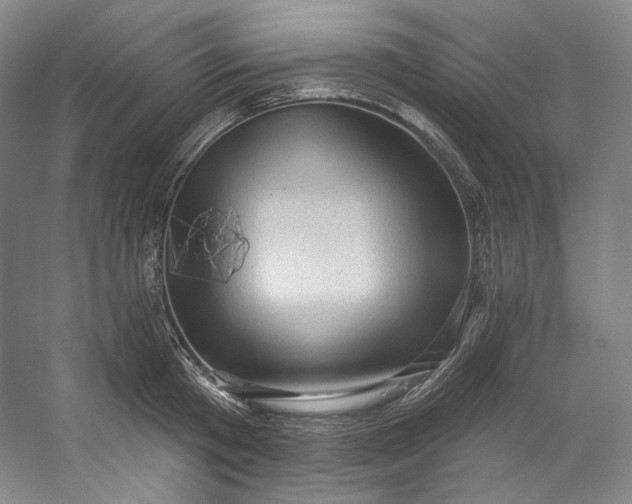 X0000053080801200507251524
