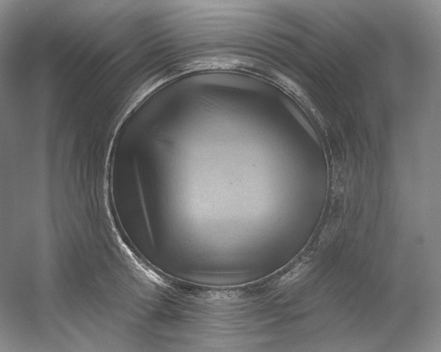 X0000053080802200507251524
