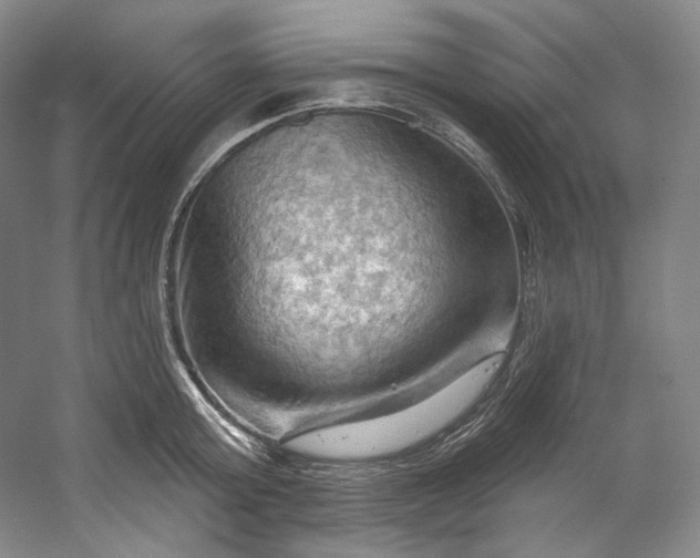 X0000053080803200507251524