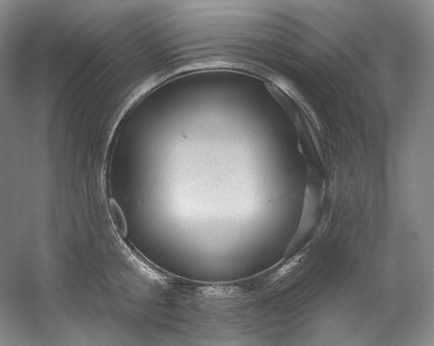 X0000053080805200507251524