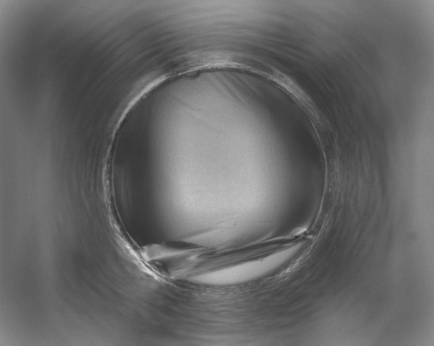 X0000053080806200507251524