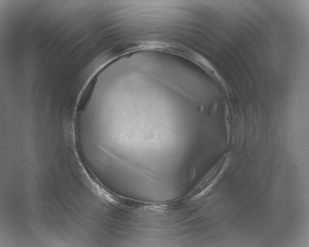X0000053080810200507251524