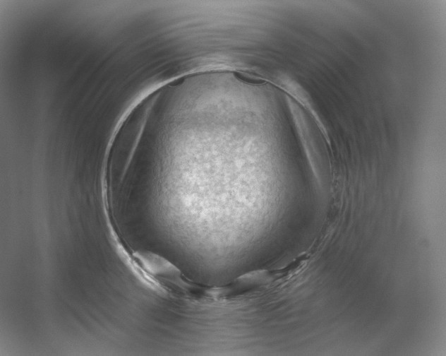 X0000053080811200507251524