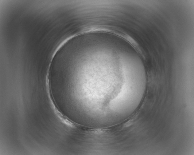 X0000053080814200507251524