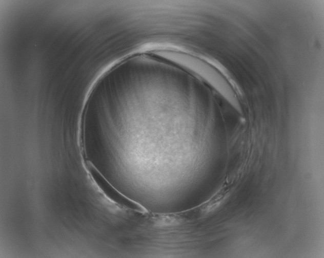 X0000053080815200507251524