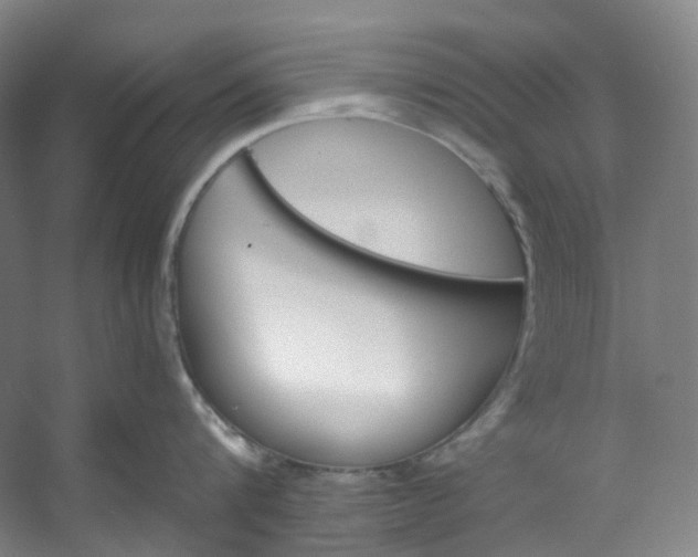 X0000053080816200507251524