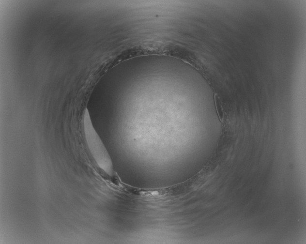 X0000053080817200507251523